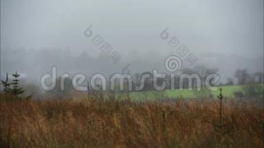 英国Misty农村<strong>农田</strong>和景观